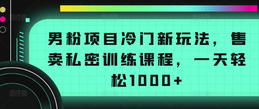 男粉项目冷门新玩法,售卖私密训练课程,一天轻松1000+-财富区