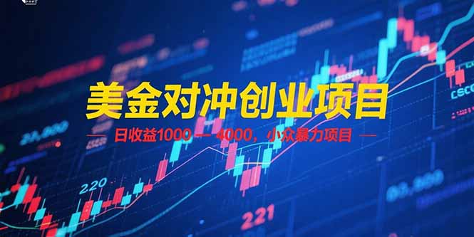 美金对冲创业项目,日收益 1000 – 4000,小众暴力项目-财富区