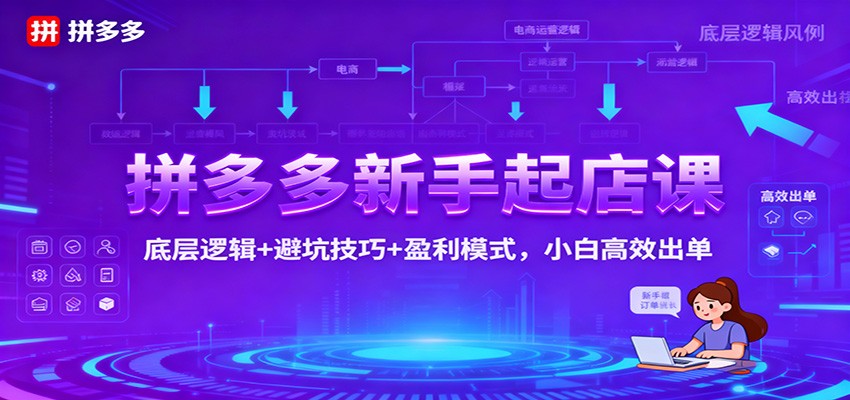拼多多新手起店课:底层逻辑+避坑技巧+盈利模式,小白高效出单-财富区