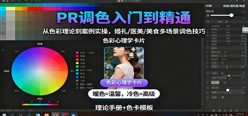 PR调色入门到精通:从色彩理论到案例实操,婚礼/医美/美食多场景调色技巧-财富区